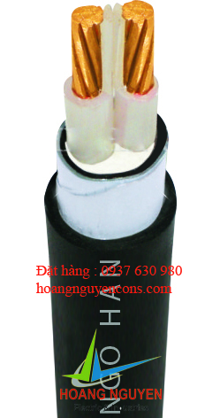Cáp điện lực 2 ruột đồng, cách điện PVC, vỏ bảo vệ PVC. Giáp băng 2 lớp thép (CXV/DSTA-2R)-0.6/1kV